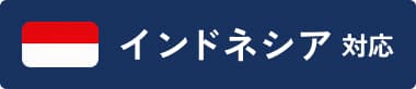 インドネシア 対応